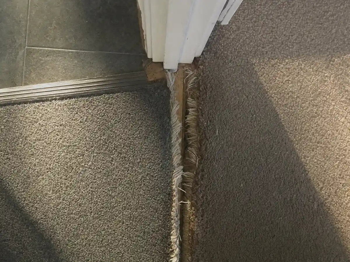 Carpet Repair in West Hollywood, CA