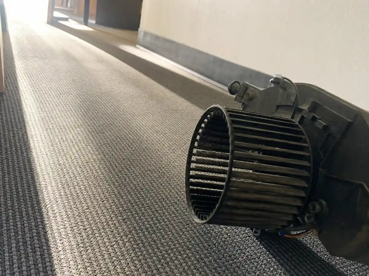 Commercial Carpet Cleaning in West Hollywood, CA