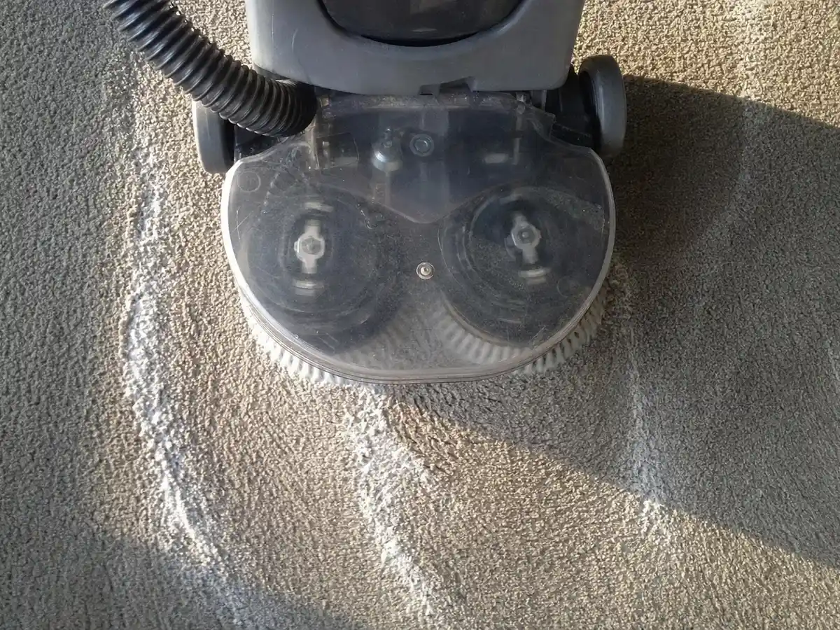 Dry Carpet Cleaning in West Hollywood, CA