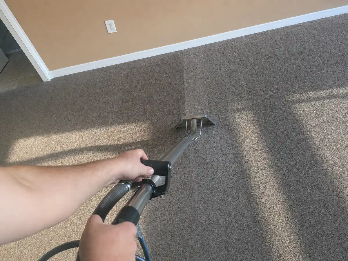 Steam Carpet Cleaning in West Hollywood, CA